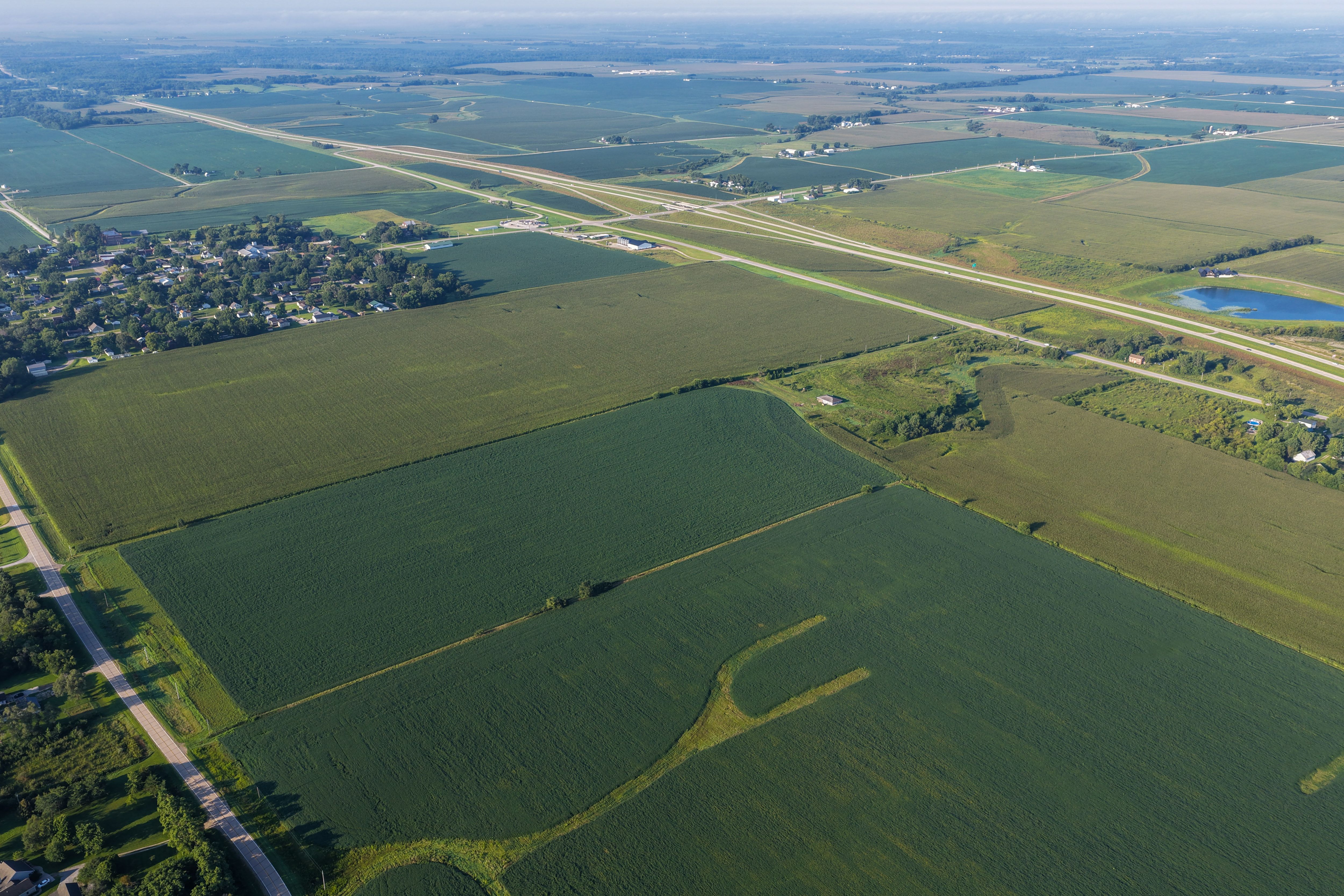 Listing Photo: 90 CSR2 Louisa County Farmland For Sale-16